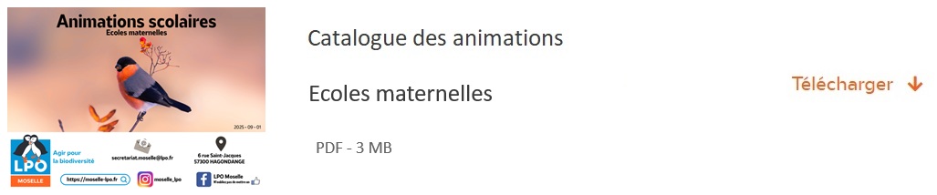 catalogue école maternelle