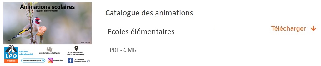 catalogue école primaire