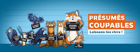 Présumés coupables