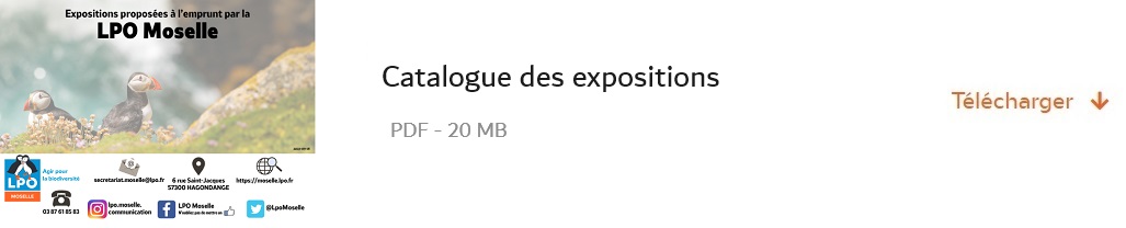 catalogue des expositions